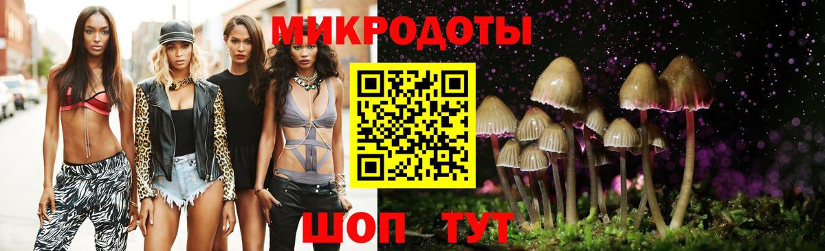 Псилоцибиновые грибы GOLDEN TEACHER  Галлюциногенные грибы MAGIC MUSHROOMS  Дзержинск  Вход с VPN 